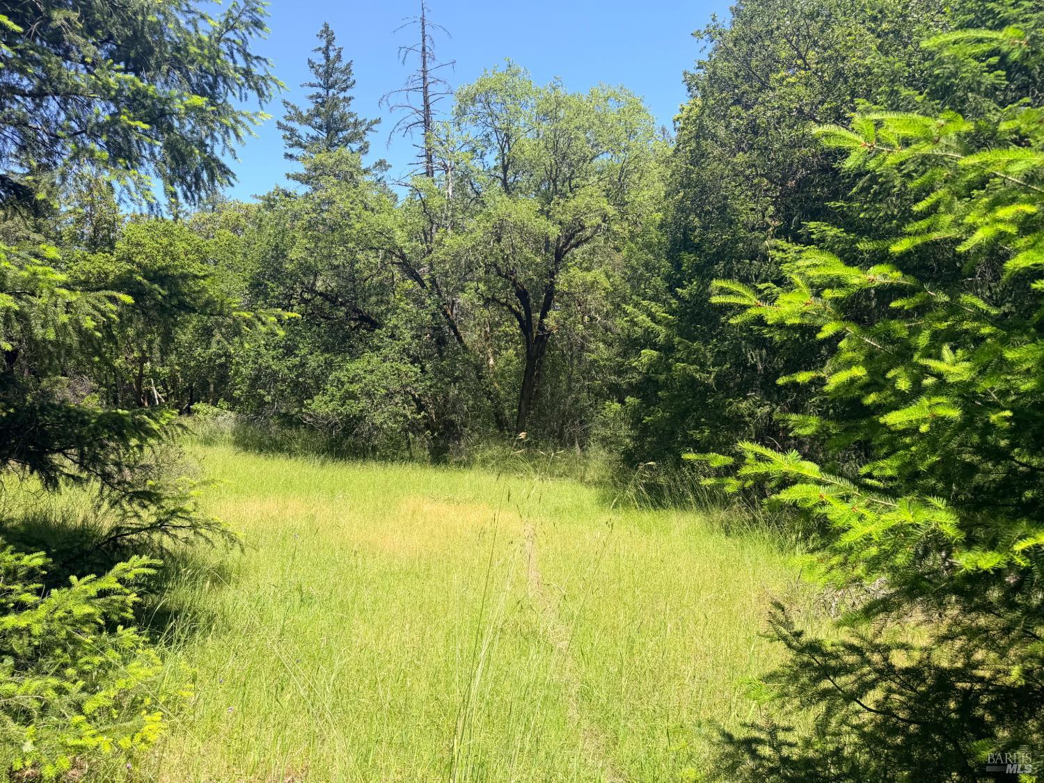 0 Registered Guest Road Laytonville CA 95454