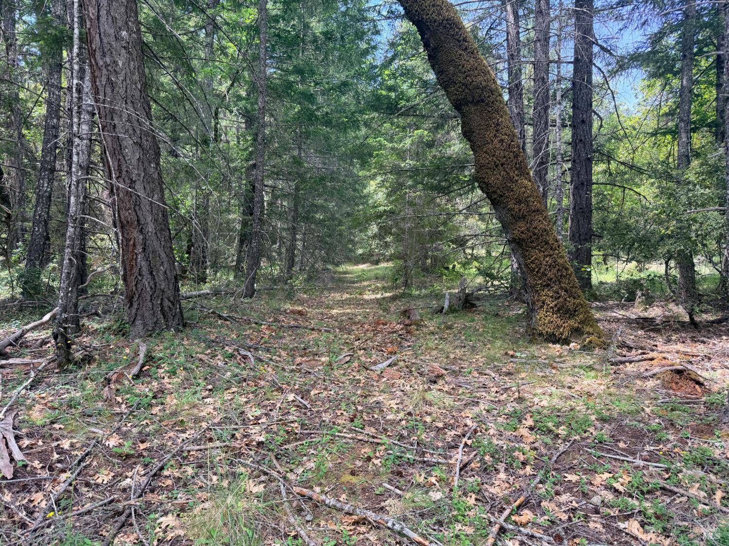0 Registered Guest Road Laytonville CA 95454