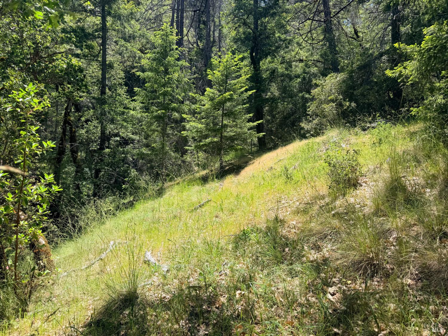 0 Registered Guest Road Laytonville CA 95454