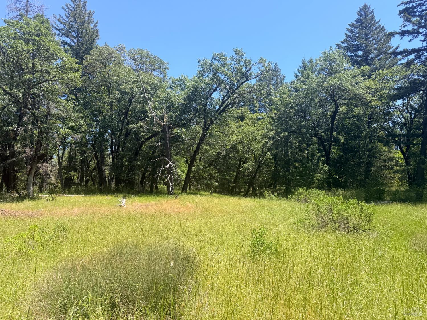 0 Registered Guest Road Laytonville CA 95454