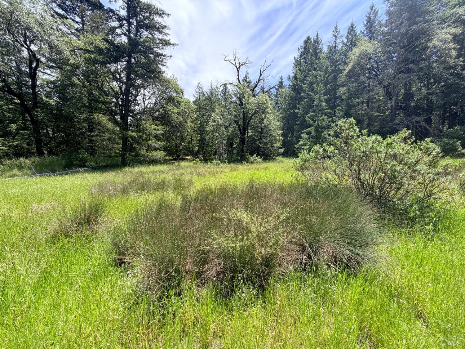 0 Registered Guest Road Laytonville CA 95454