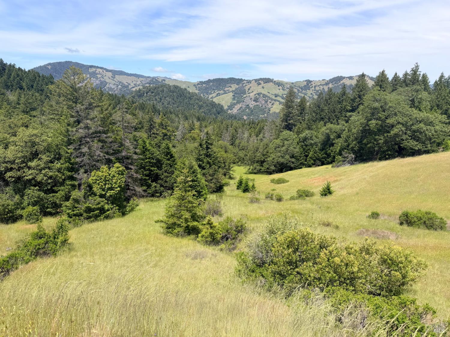 0 Registered Guest Road Laytonville CA 95454