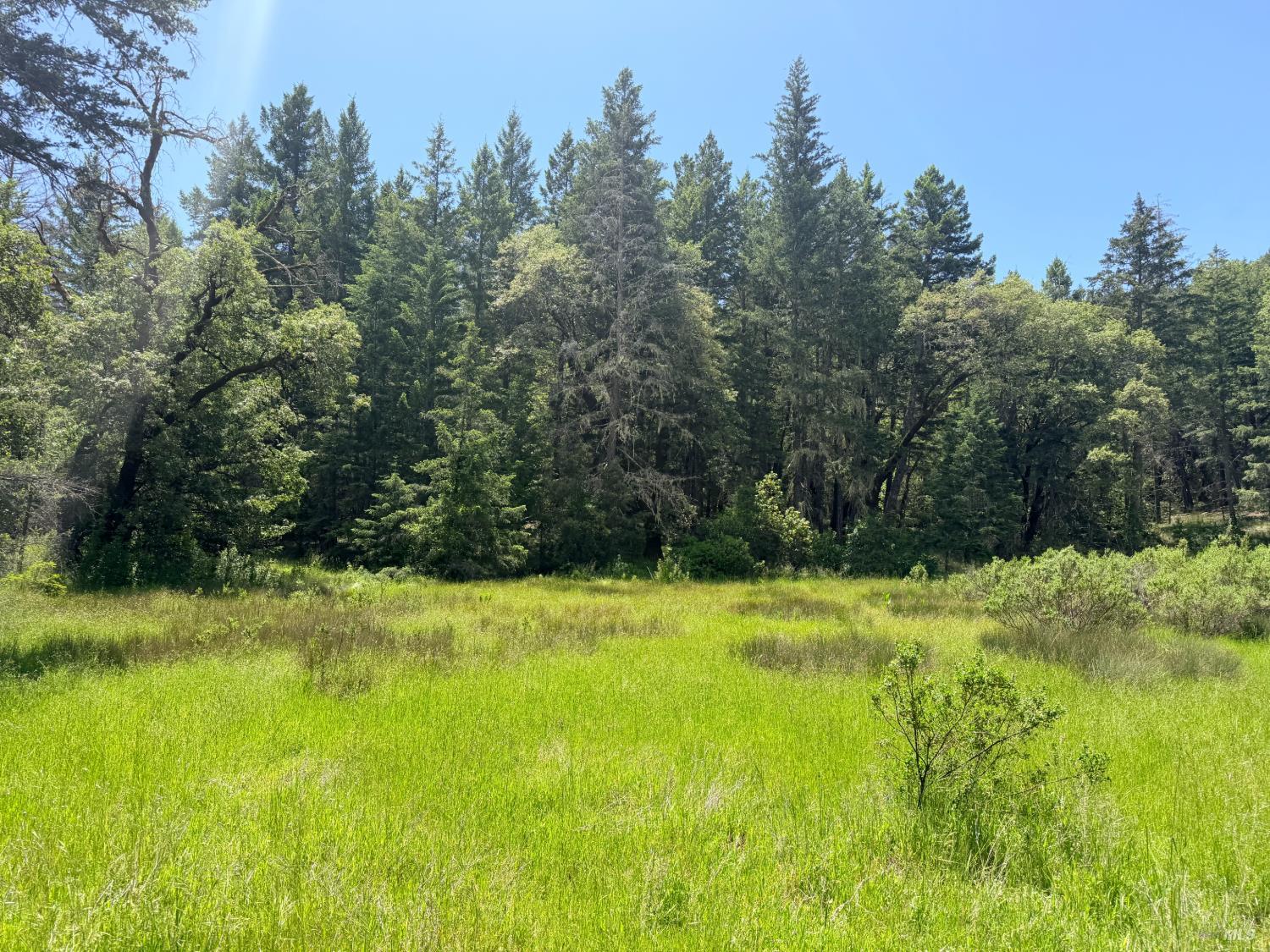0 Registered Guest Road Laytonville CA 95454