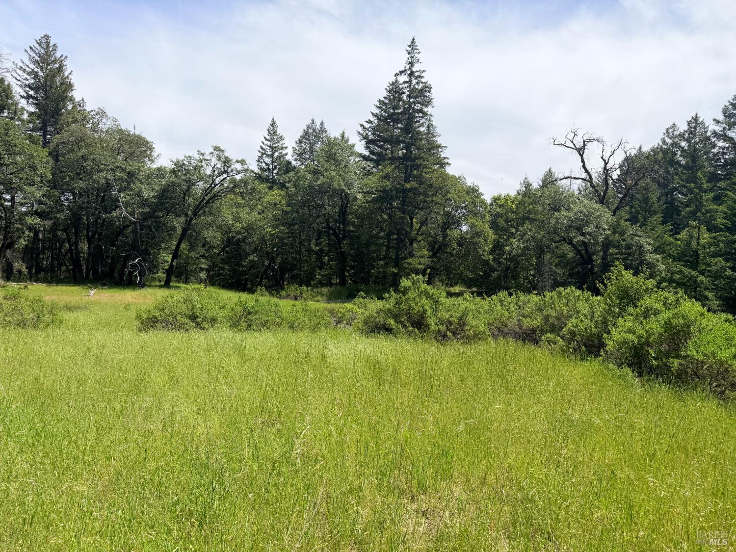 0 Registered Guest Road Laytonville CA 95454