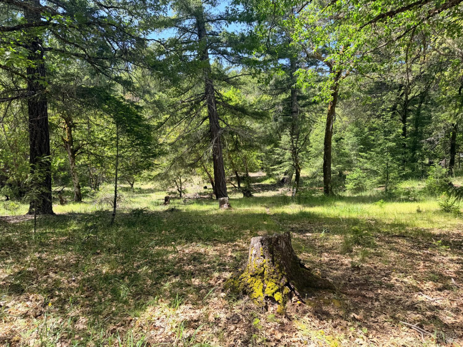 0 Registered Guest Road Laytonville CA 95454