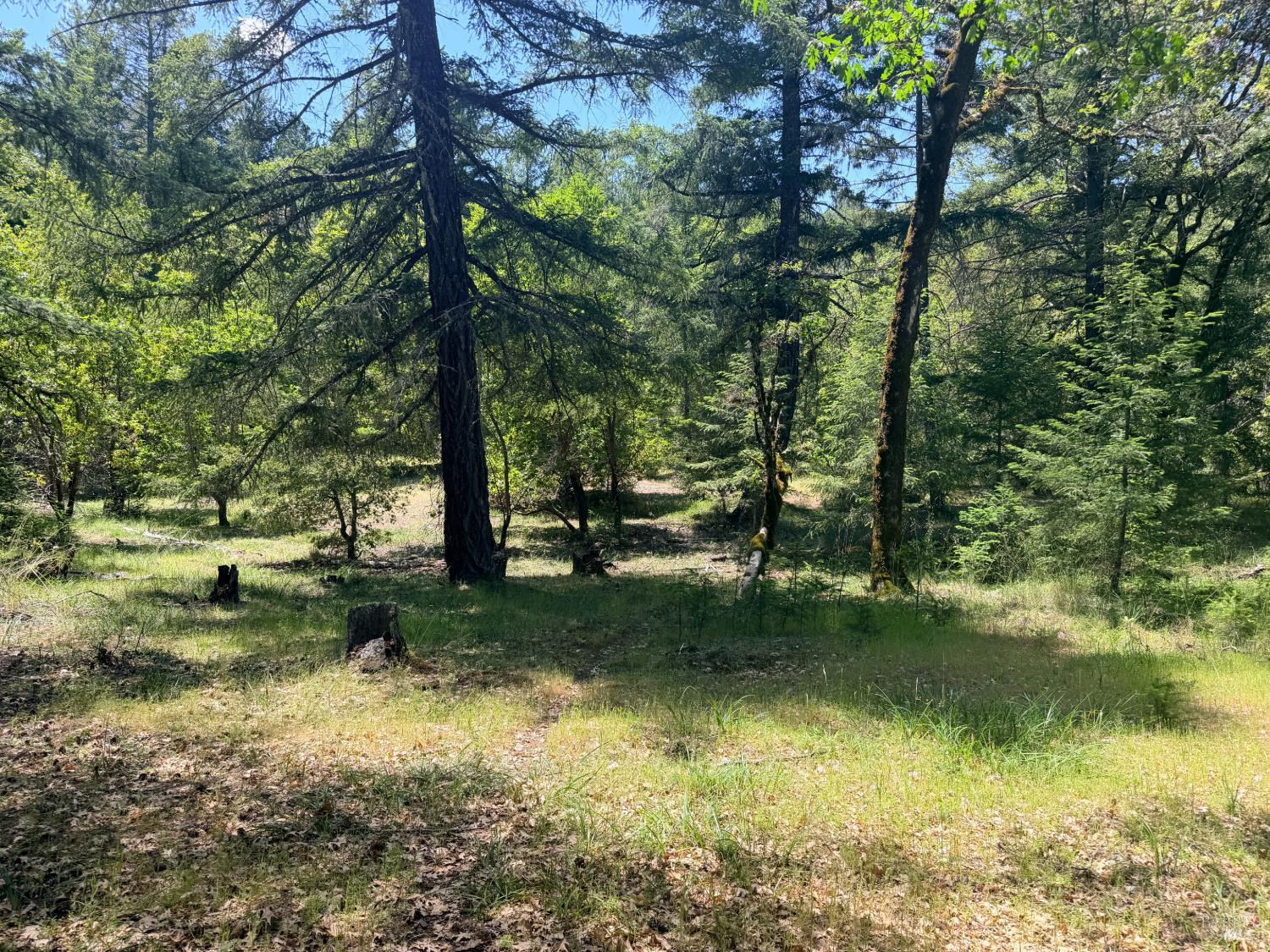 0 Registered Guest Road Laytonville CA 95454