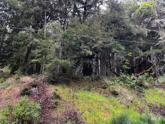 24403 Cypress Drive Willits CA 95490