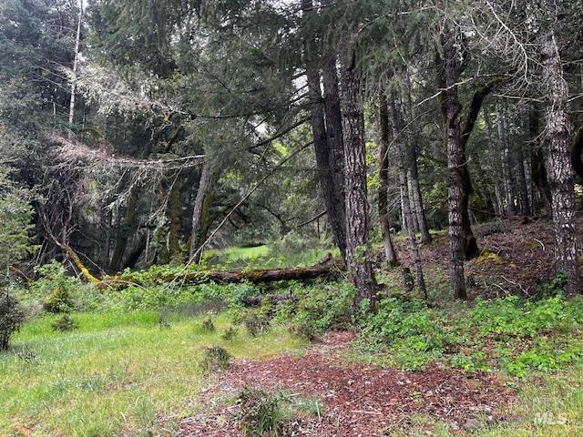 24403 Cypress Drive Willits CA 95490