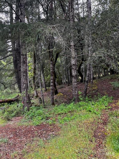 24403 Cypress Drive Willits CA 95490