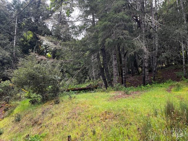 24403 Cypress Drive Willits CA 95490