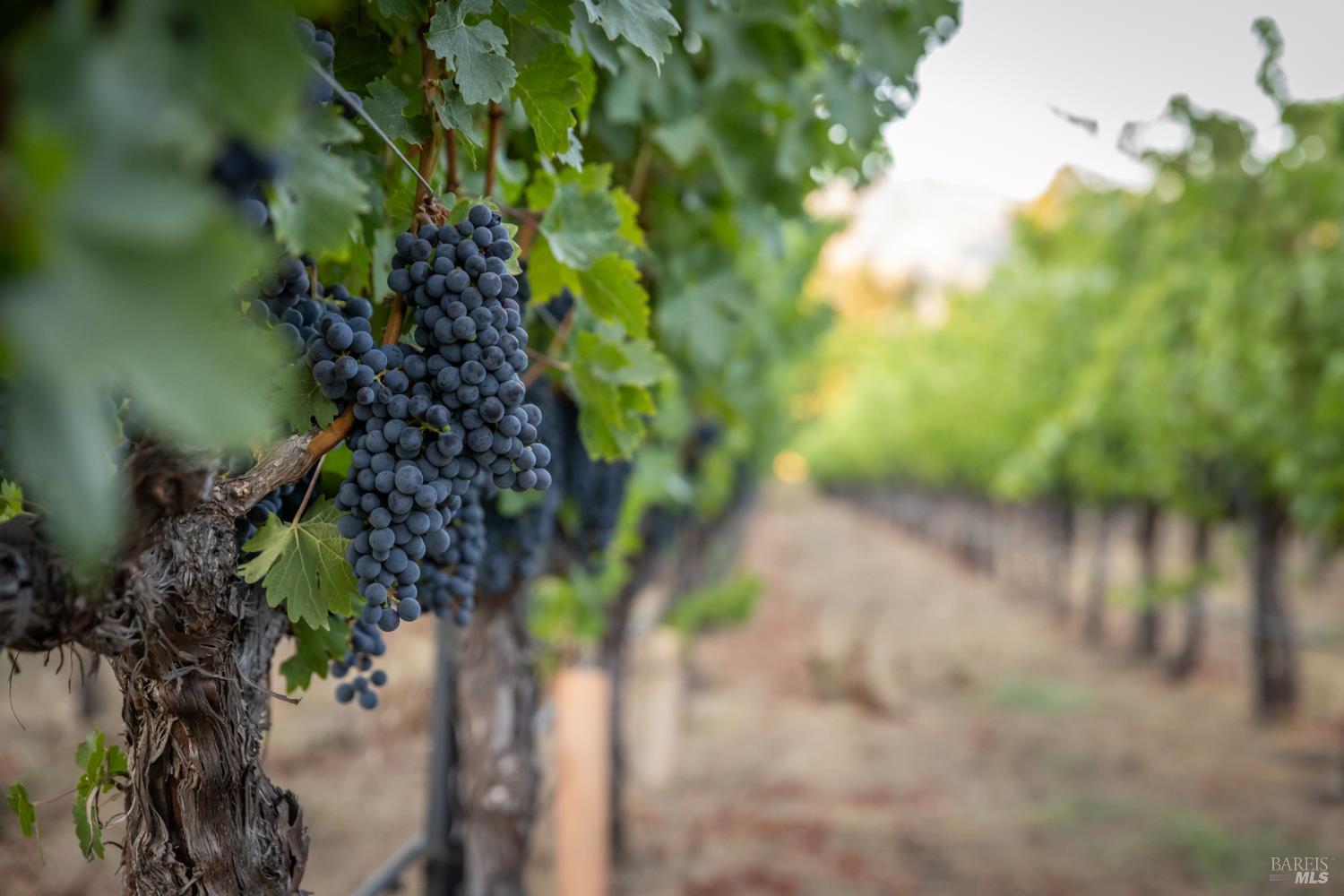 0 Ragatz Lane Napa CA 94558