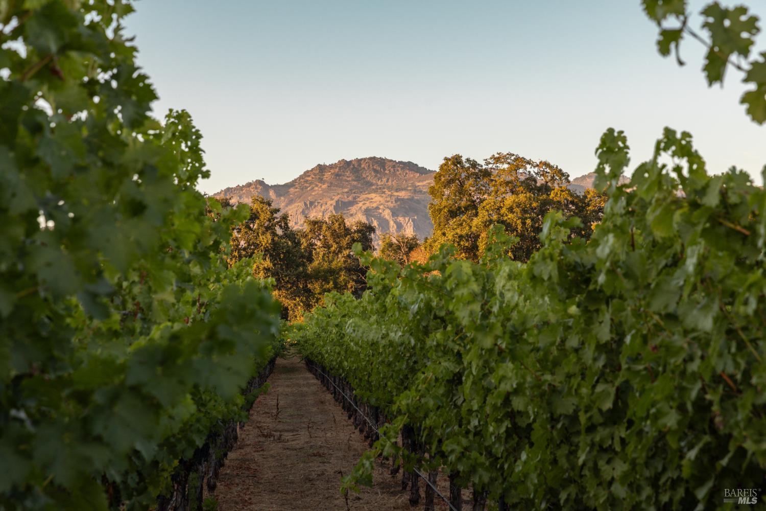 0 Ragatz Lane Napa CA 94558