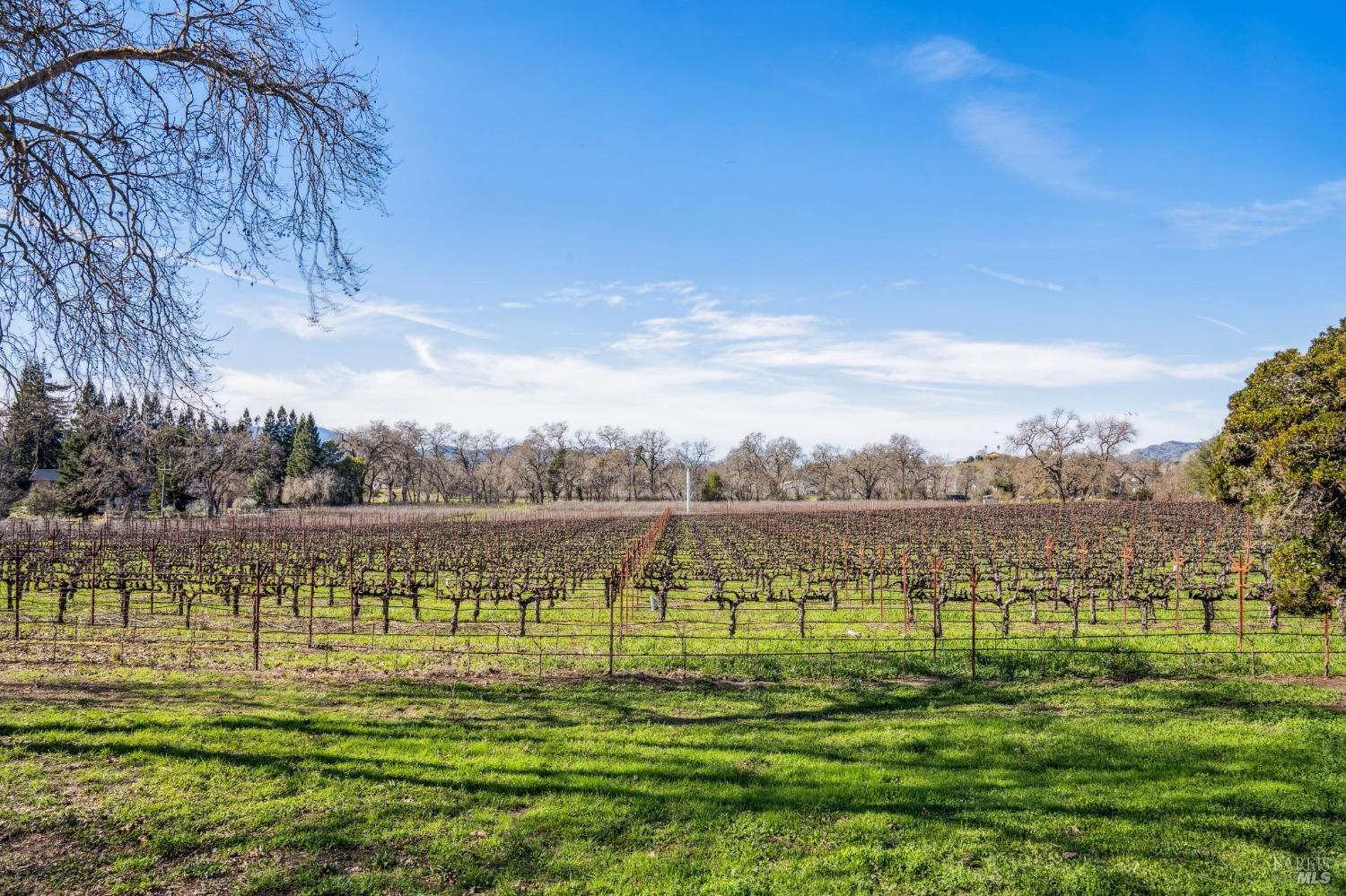 1180 Monticello Road Napa CA 94558