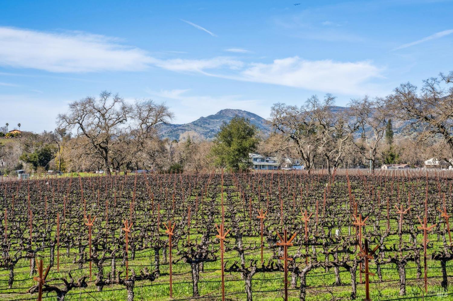 1180 Monticello Road Napa CA 94558