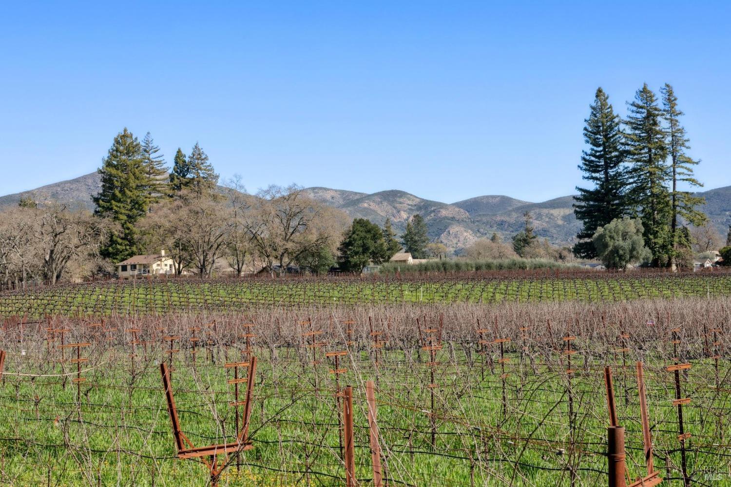 1180 Monticello Road Napa CA 94558