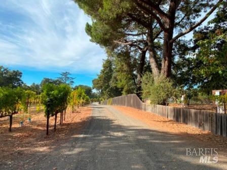 1180 Monticello Road Napa CA 94558