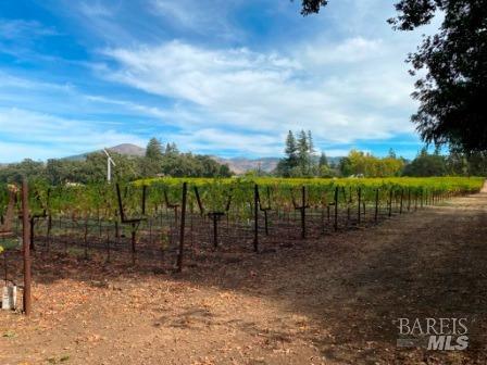 1180 Monticello Road Napa CA 94558