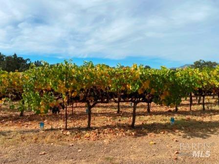 1180 Monticello Road Napa CA 94558