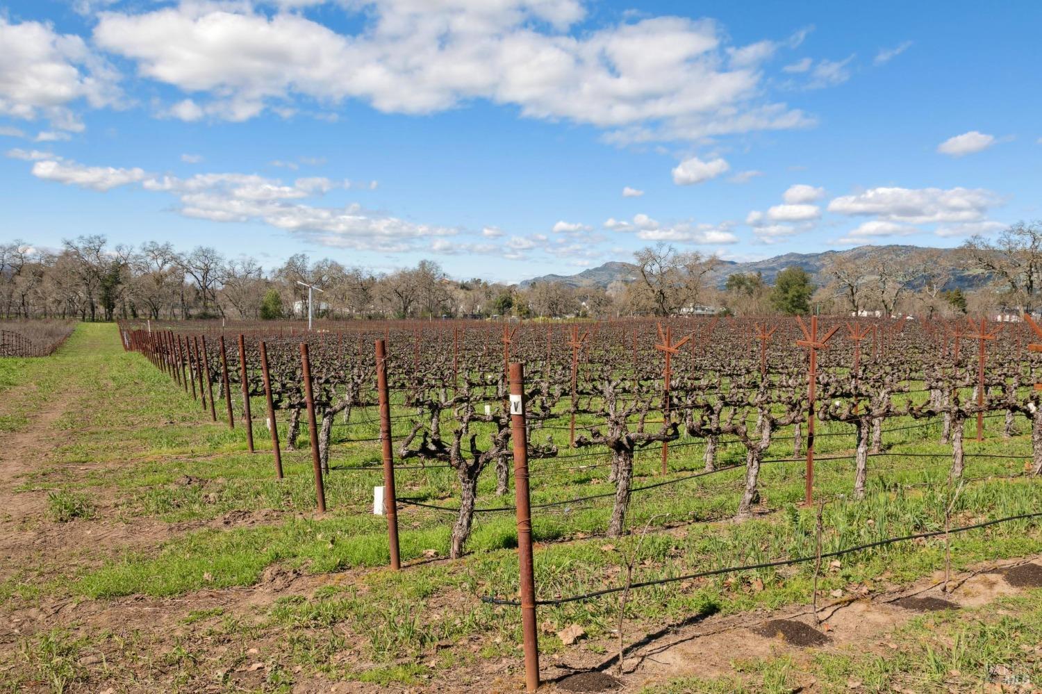 1180 Monticello Road Napa CA 94558