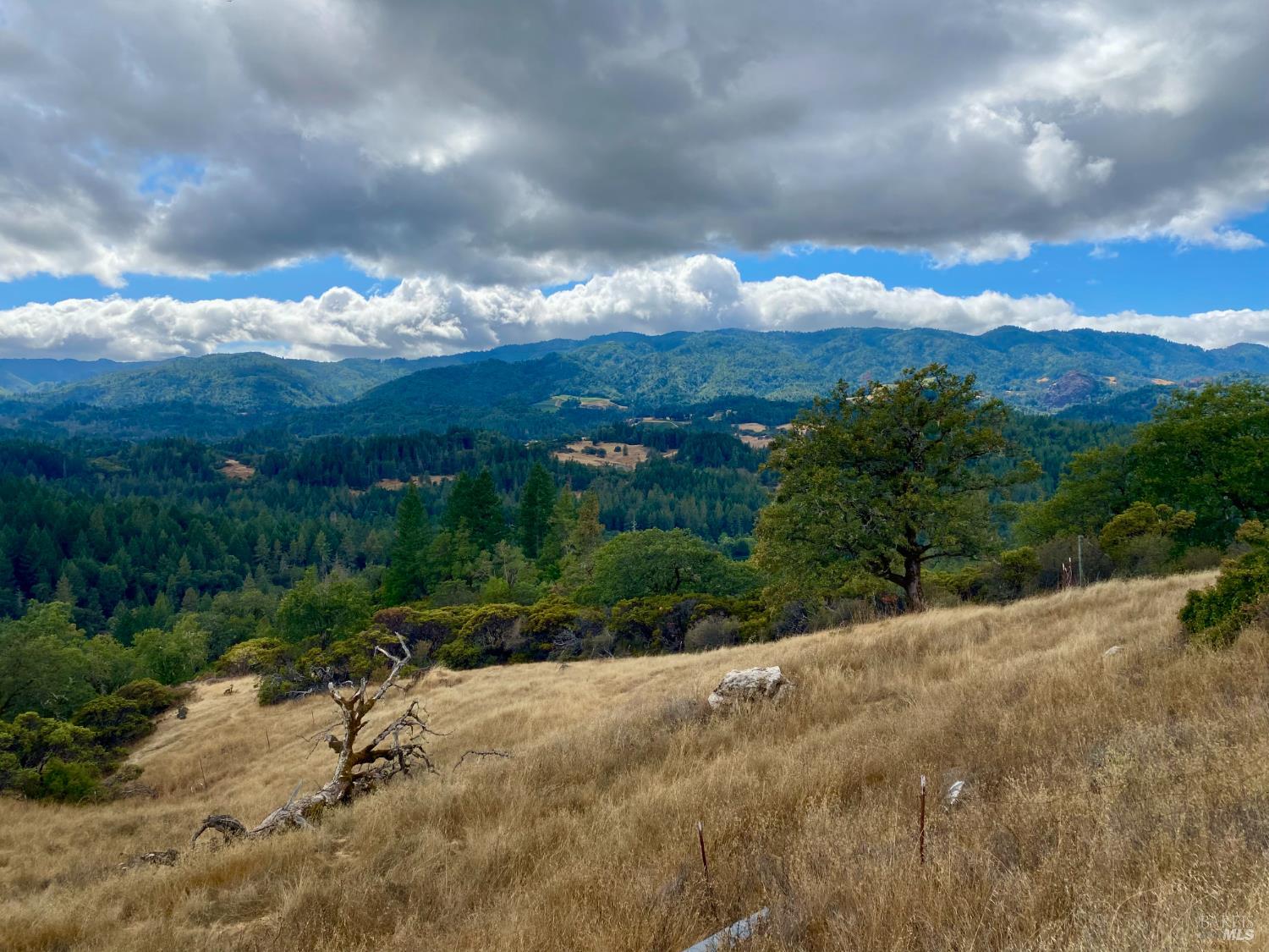 46700 Highway 101 Laytonville CA 95454