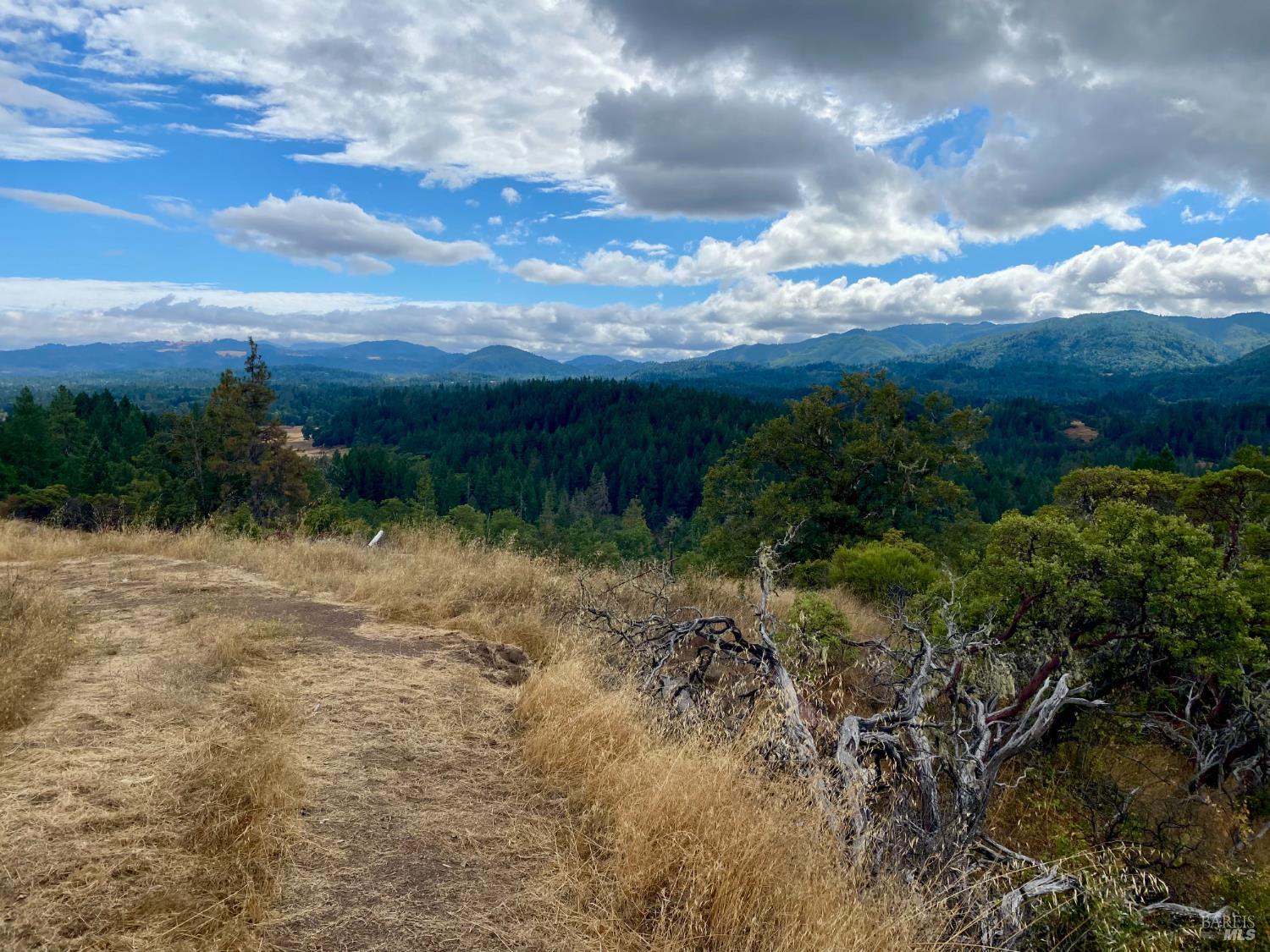 46700 Highway 101 Laytonville CA 95454