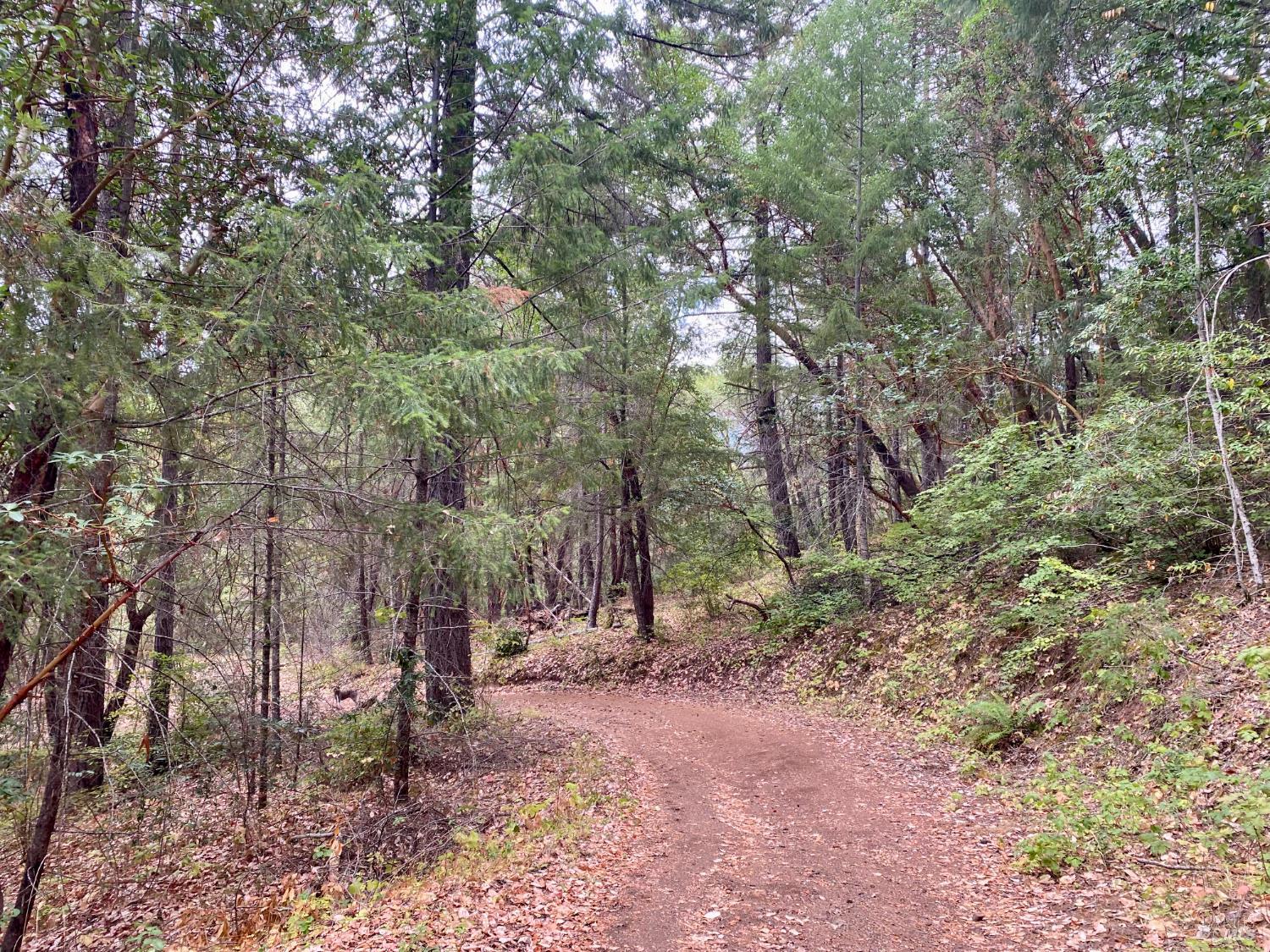 46700 Highway 101 Laytonville CA 95454