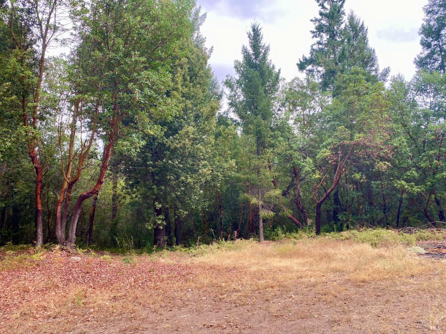 46700 Highway 101 Laytonville CA 95454