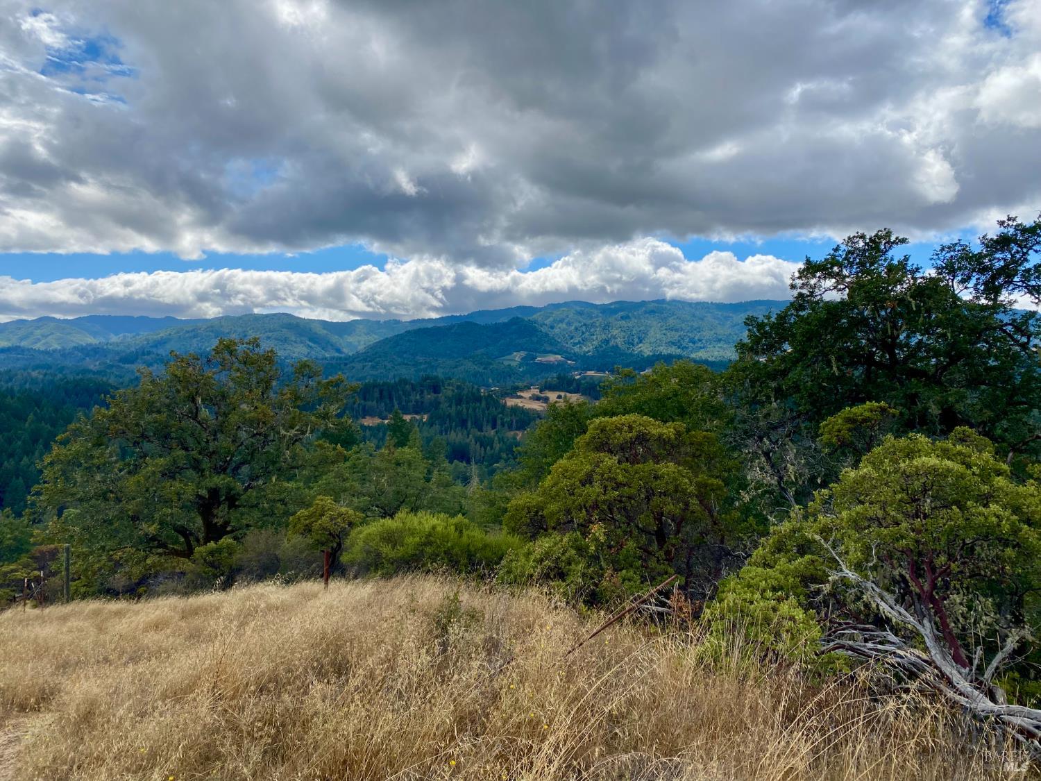 46700 Highway 101 Laytonville CA 95454