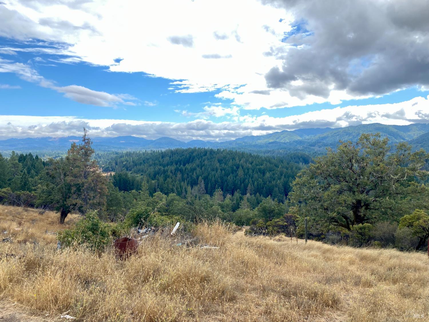46700 Highway 101 Laytonville CA 95454