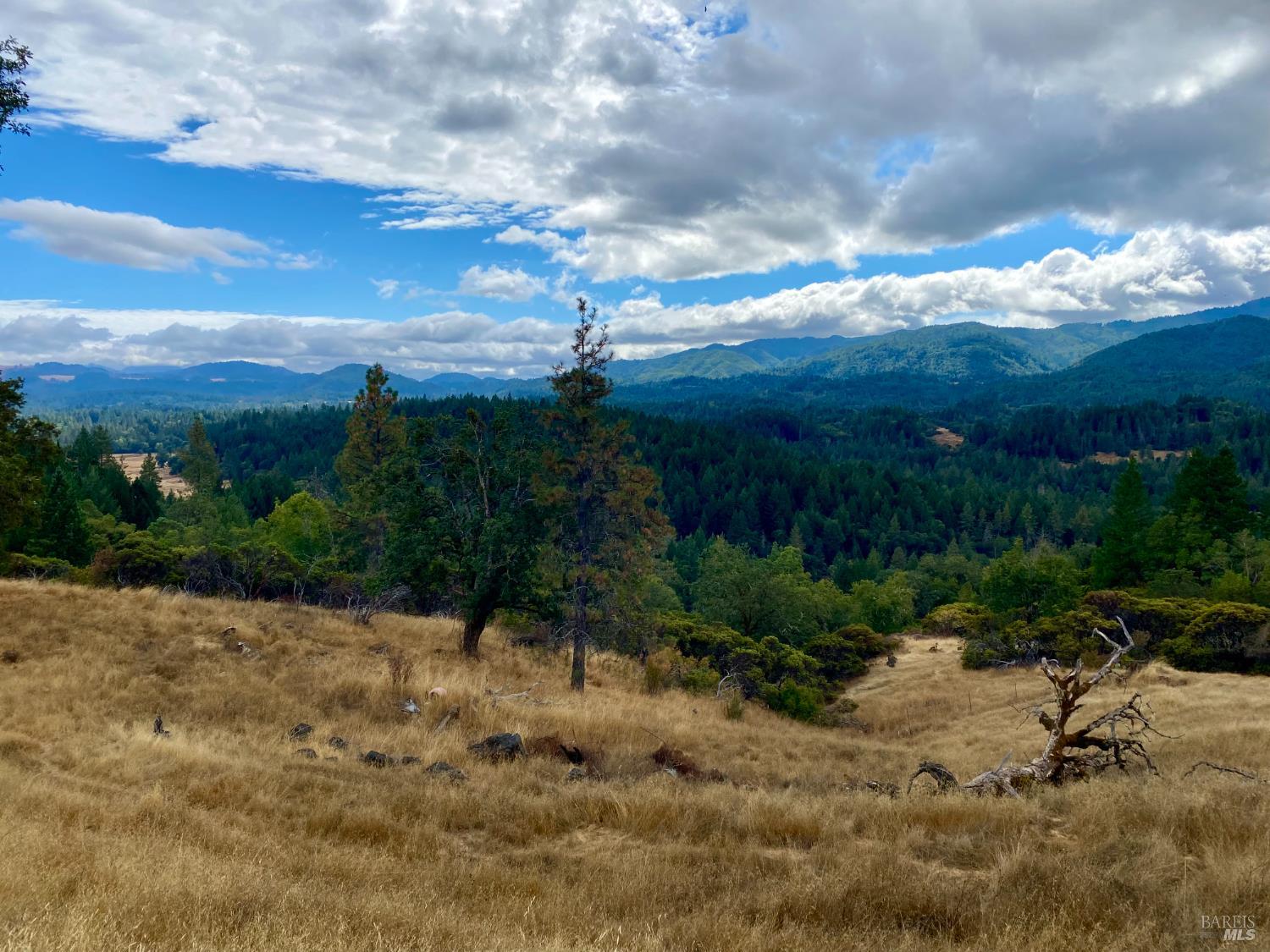 46700 Highway 101 Laytonville CA 95454