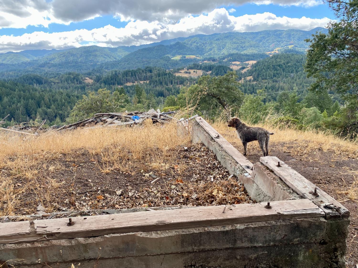 46700 Highway 101 Laytonville CA 95454