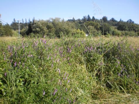 300 Ferguson Road Sebastopol CA 95472
