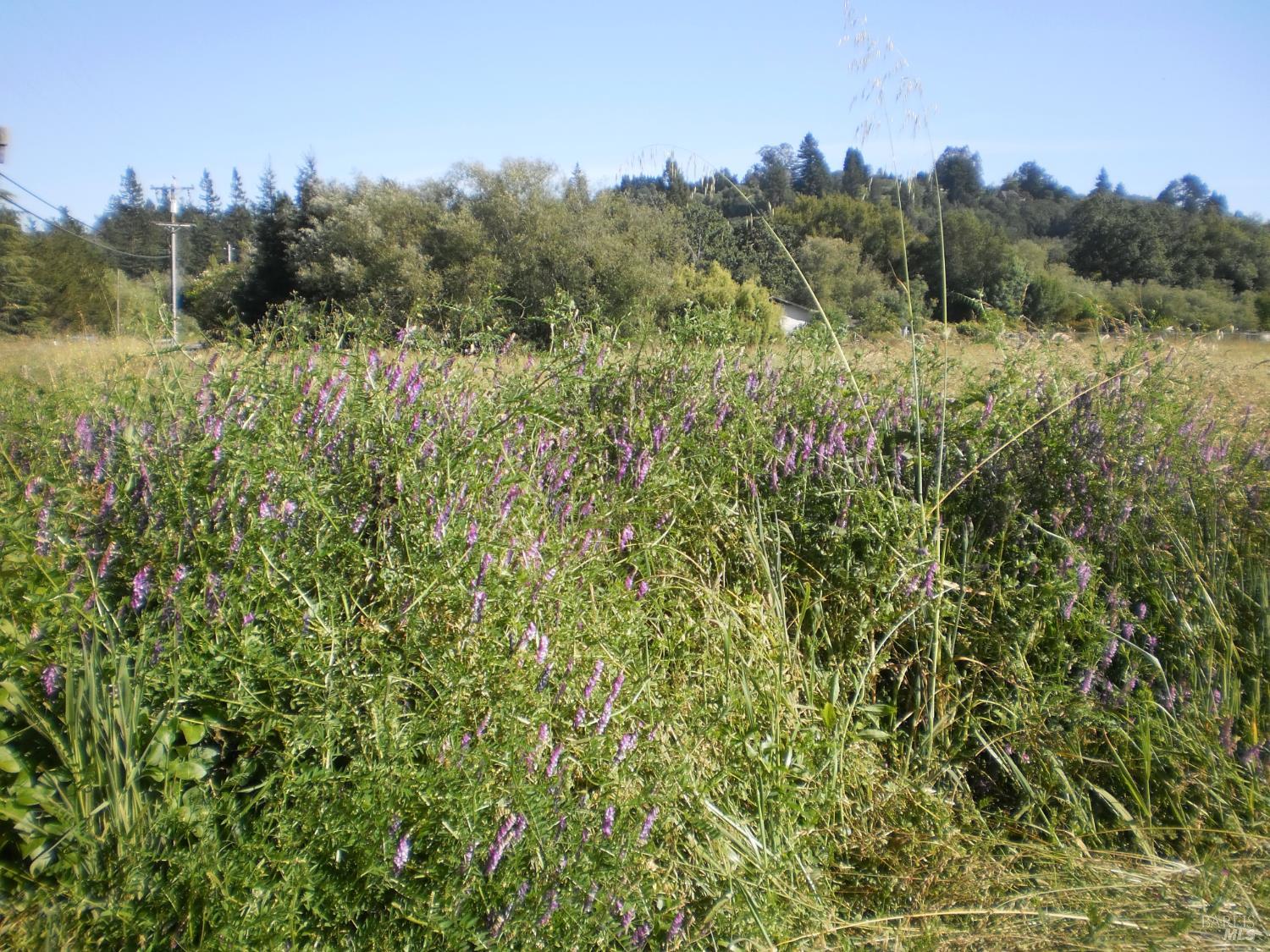 300 Ferguson Road Sebastopol CA 95472