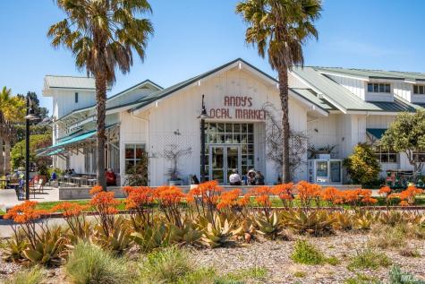 726 Point San Pedro Road San Rafael CA 94901