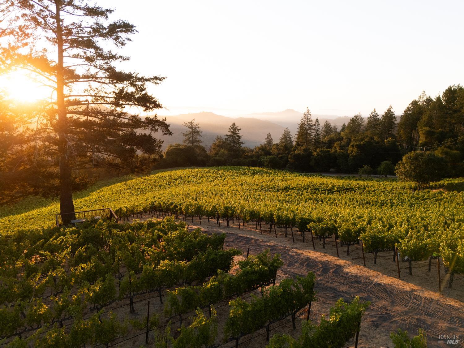 316 Wall Road Napa CA 94558