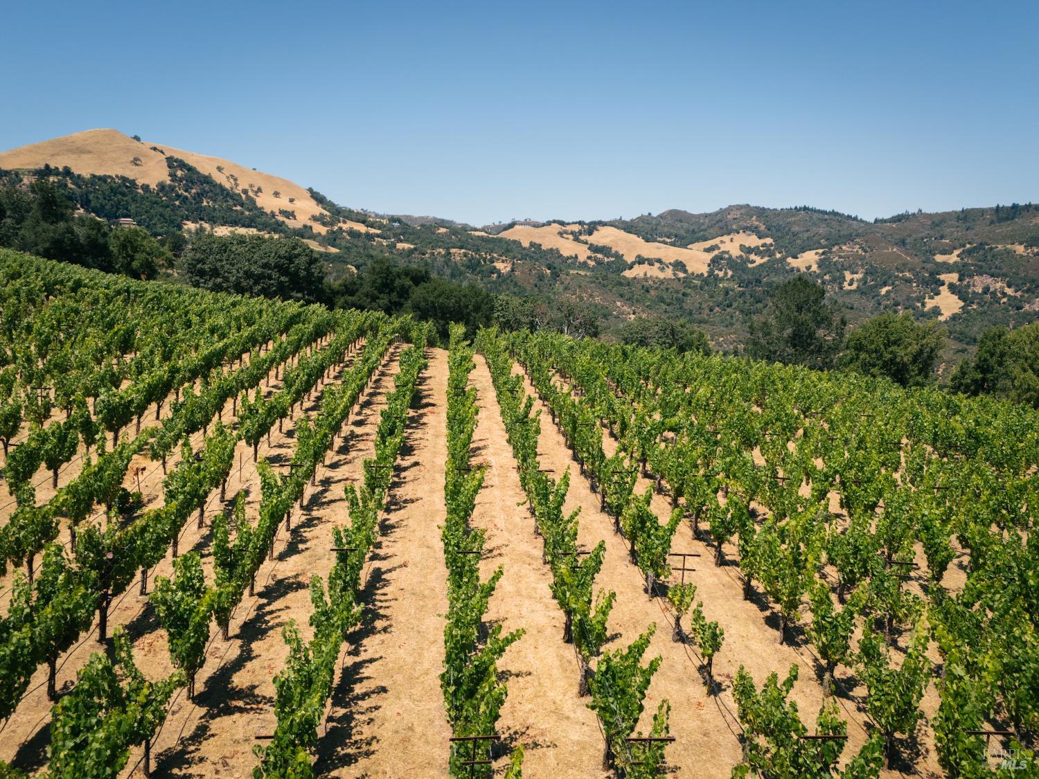 316 Wall Road Napa CA 94558