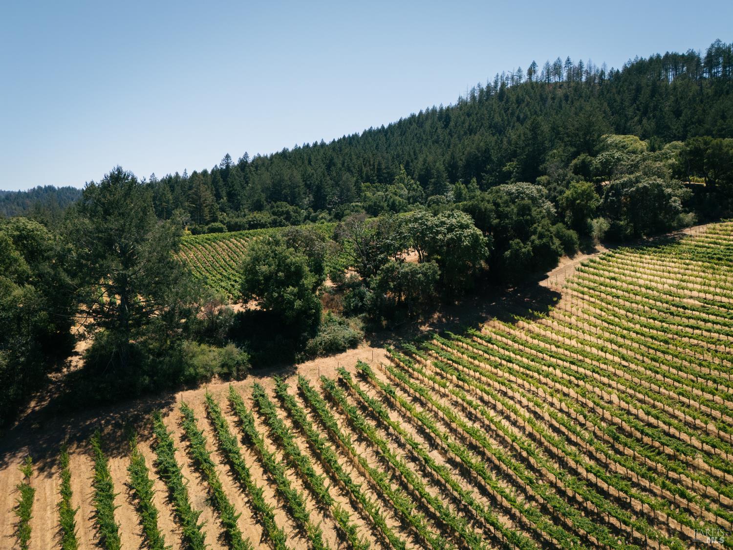 316 Wall Road Napa CA 94558