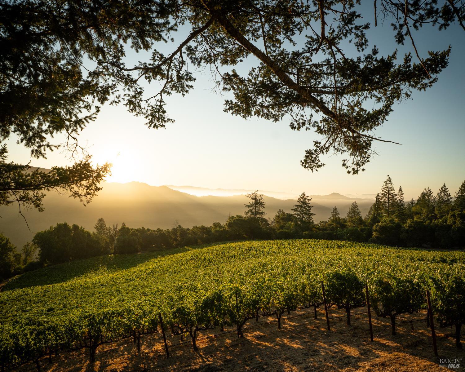 316 Wall Road Napa CA 94558