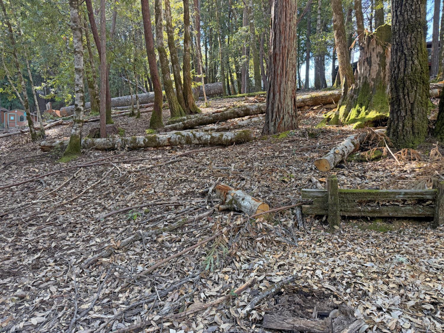 1920 Perch Road Willits CA 95490