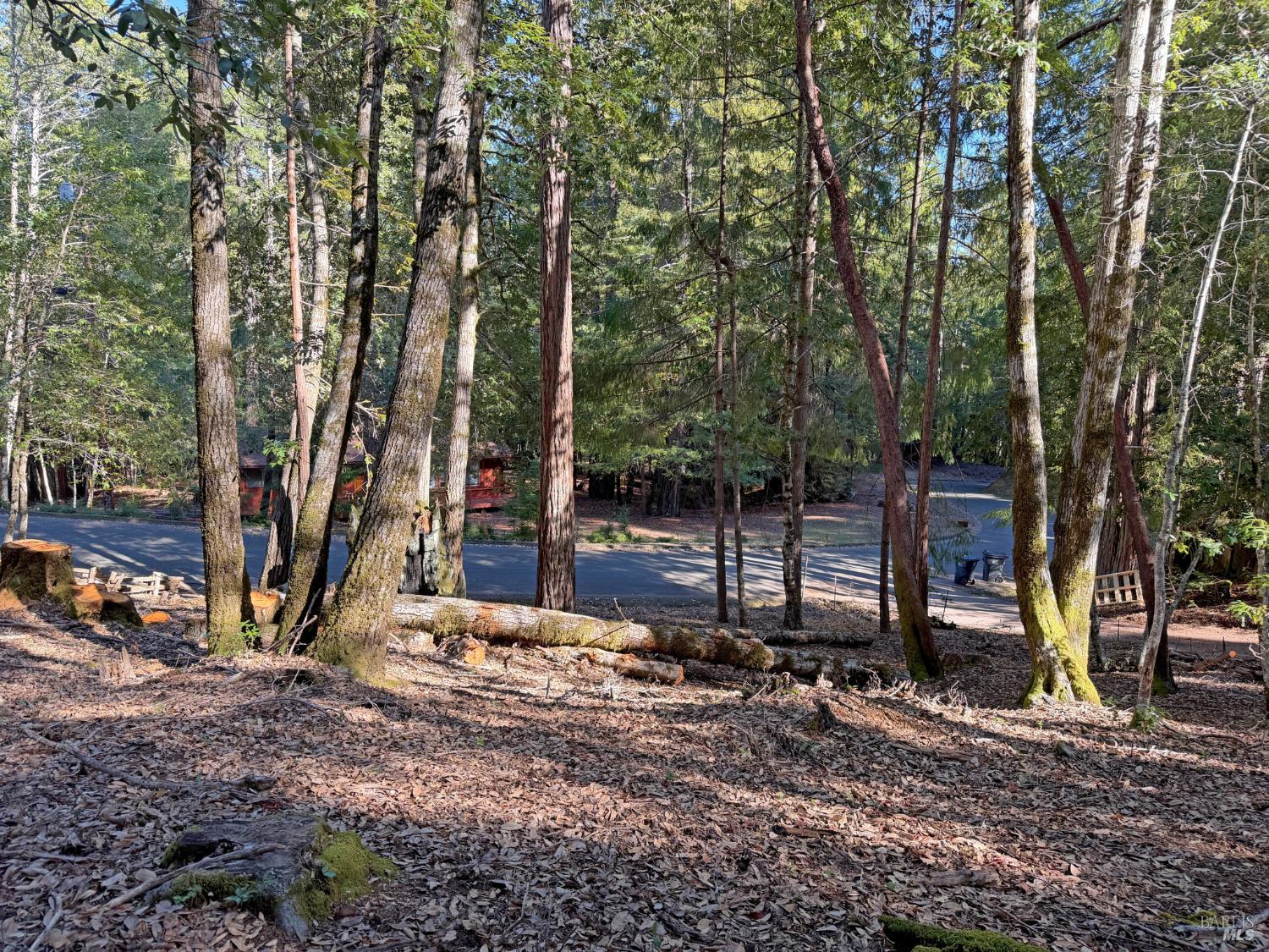 1920 Perch Road Willits CA 95490