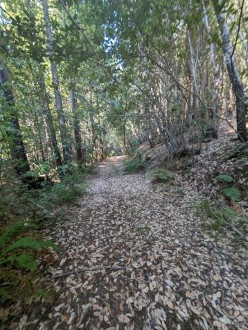 23330 Fort Ross Road Cazadero CA 95421