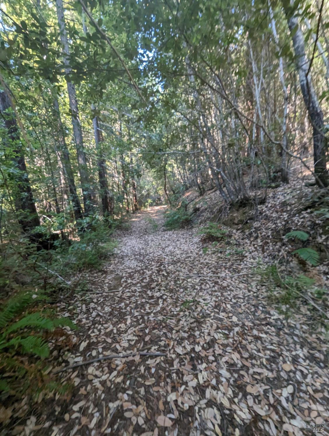 23330 Fort Ross Road Cazadero CA 95421