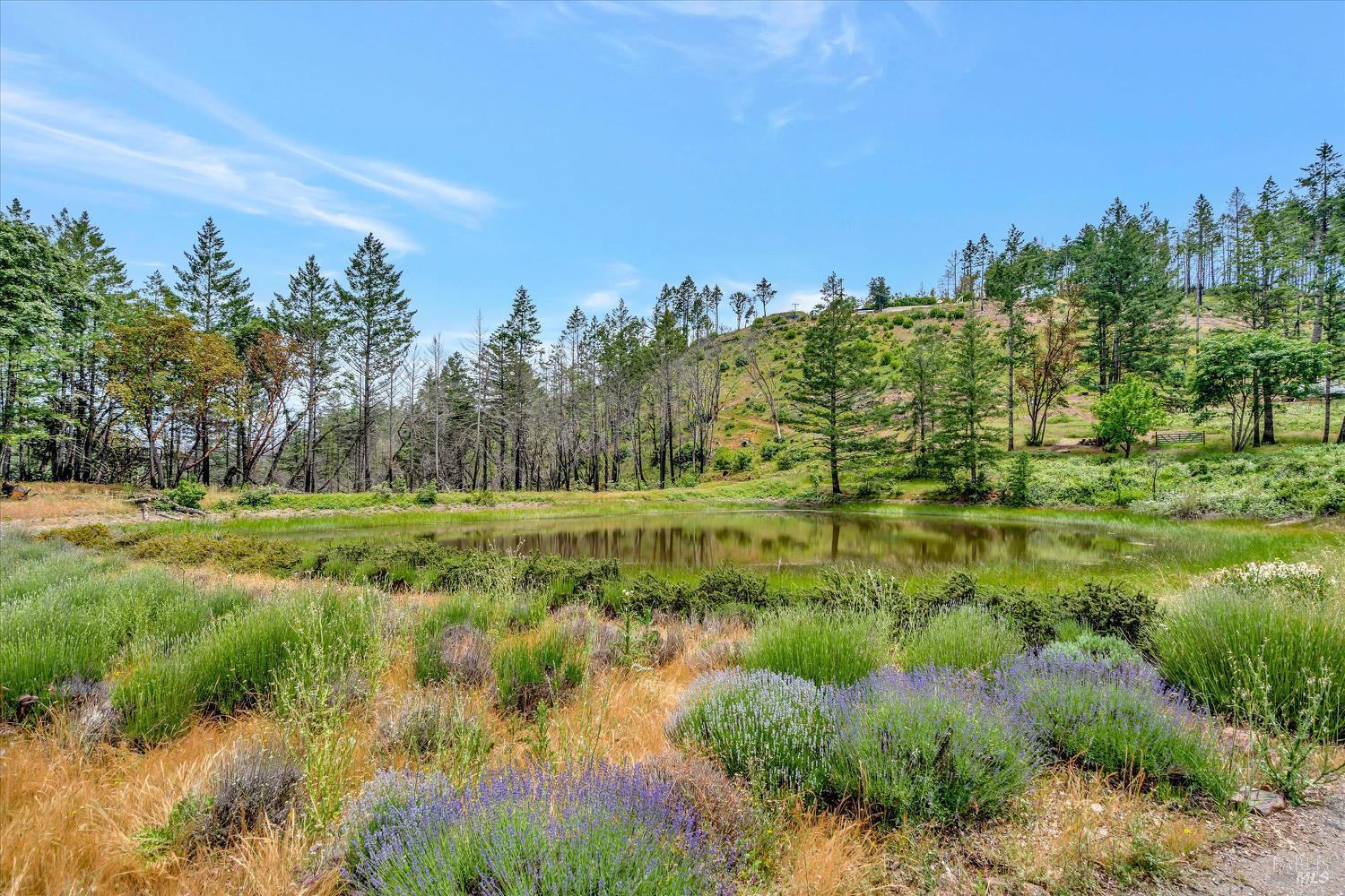 8560 Street Helena Road Santa Rosa CA 95404