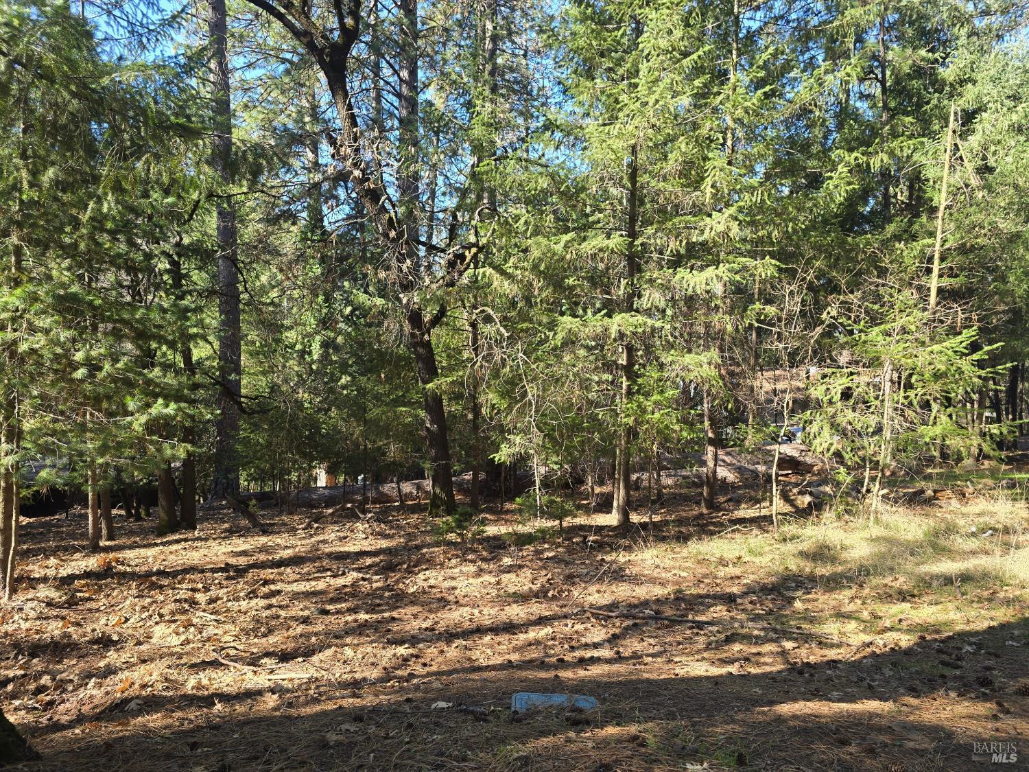 16303 Niblick Road Cobb CA 95426