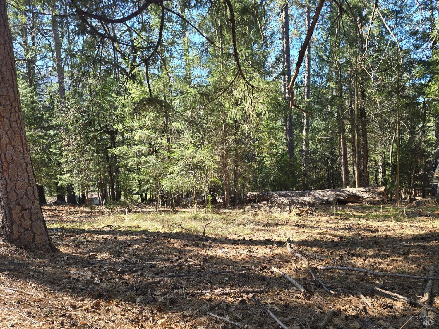 16303 Niblick Road Cobb CA 95426