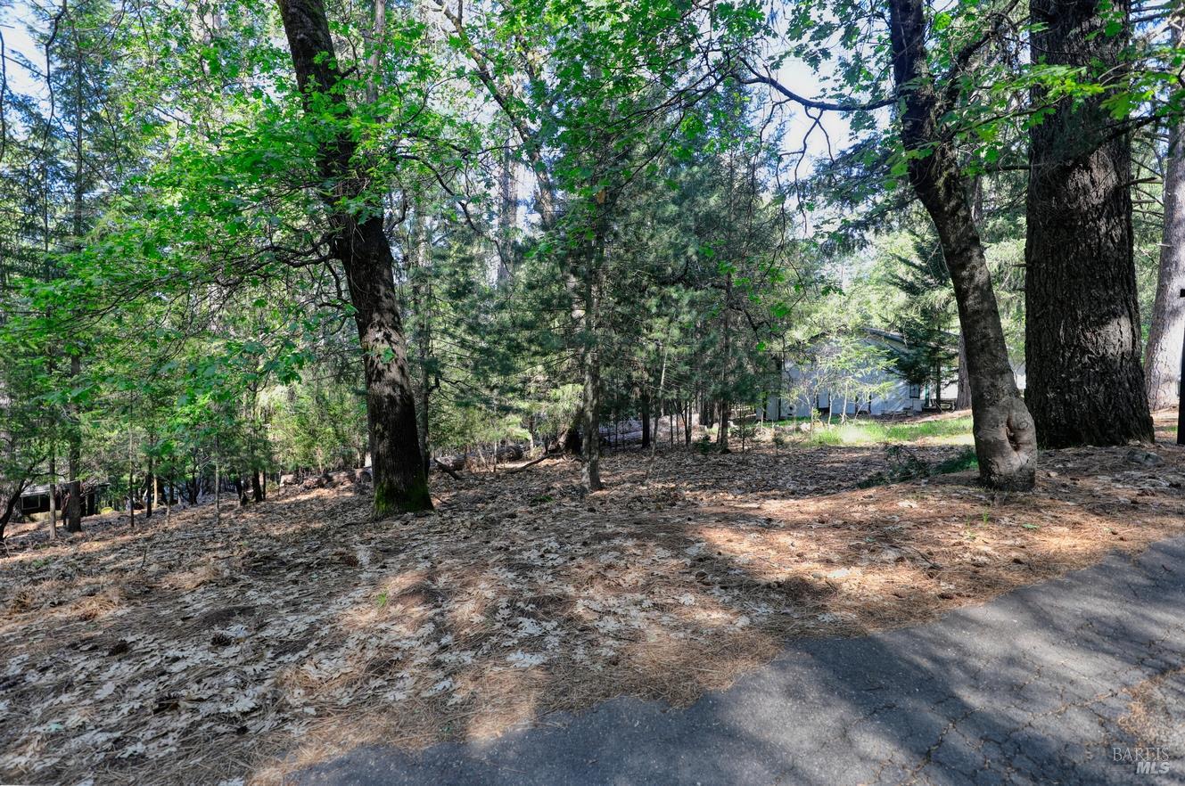 16303 Niblick Road Cobb CA 95426