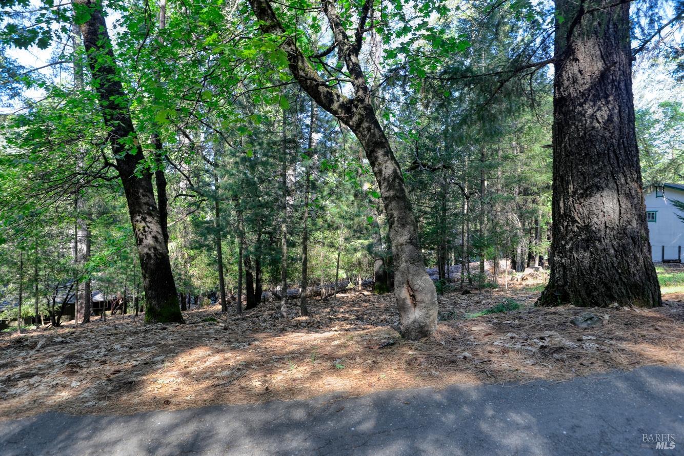 16303 Niblick Road Cobb CA 95426