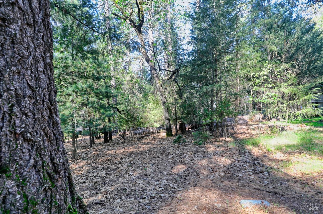 16303 Niblick Road Cobb CA 95426