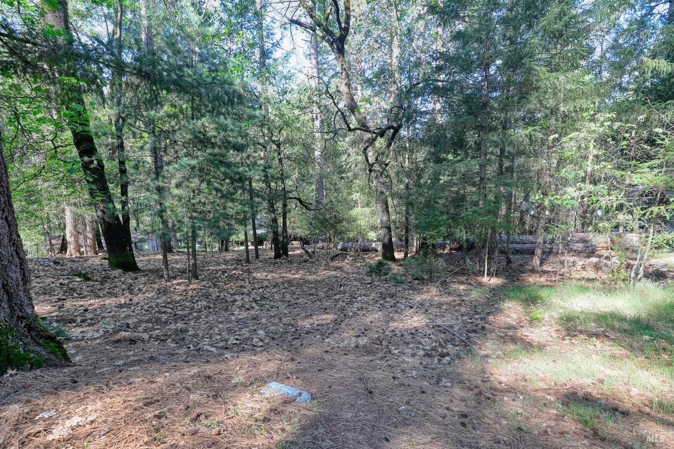 16303 Niblick Road Cobb CA 95426
