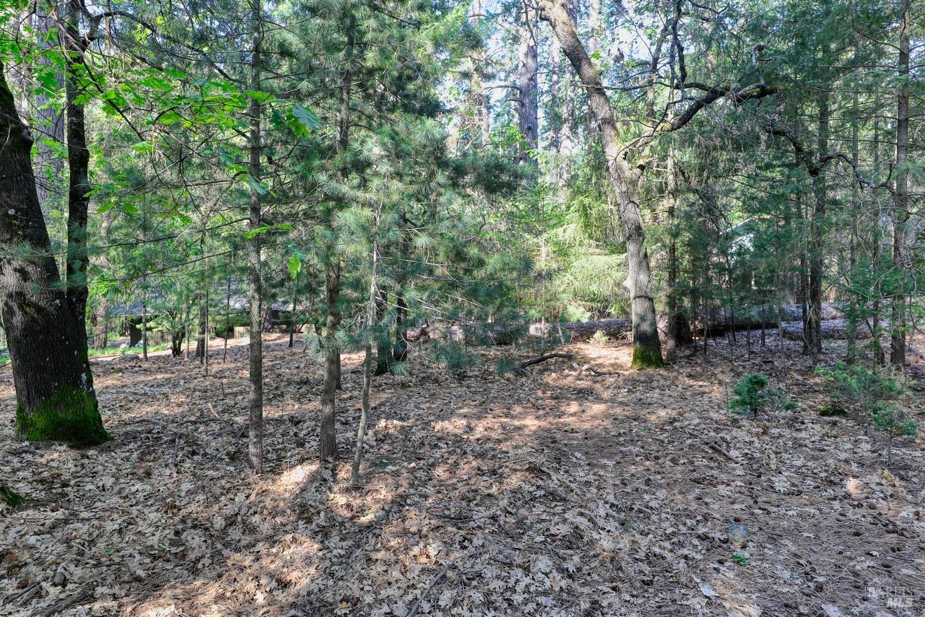 16303 Niblick Road Cobb CA 95426